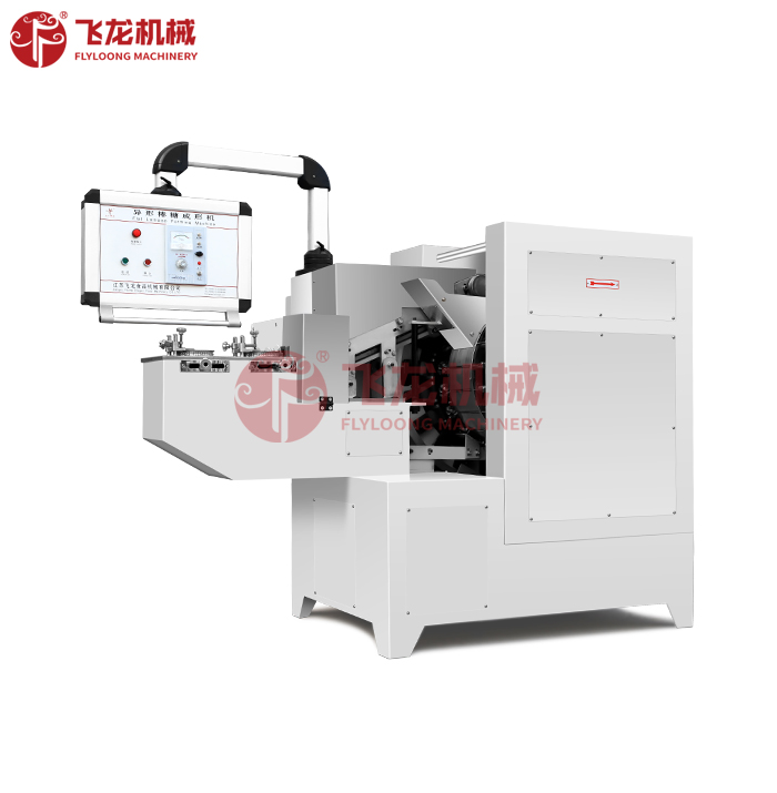 Machine de formage de sucettes plates FLD-TY350